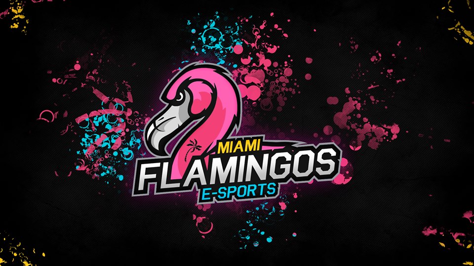 Miami Flamingos cierra su participación en la SL i-League S3