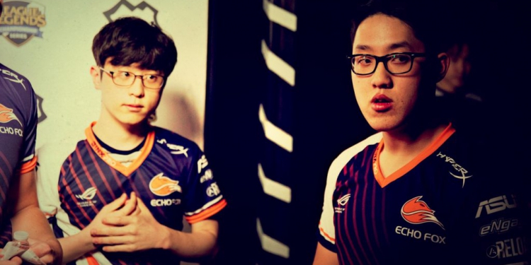 Echo Fox