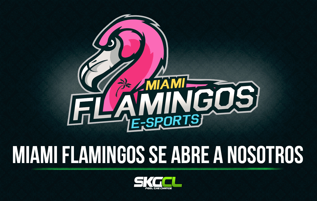 Miami Flamingos: »Tenemos que dejar todo para conseguir lo que deseamos»