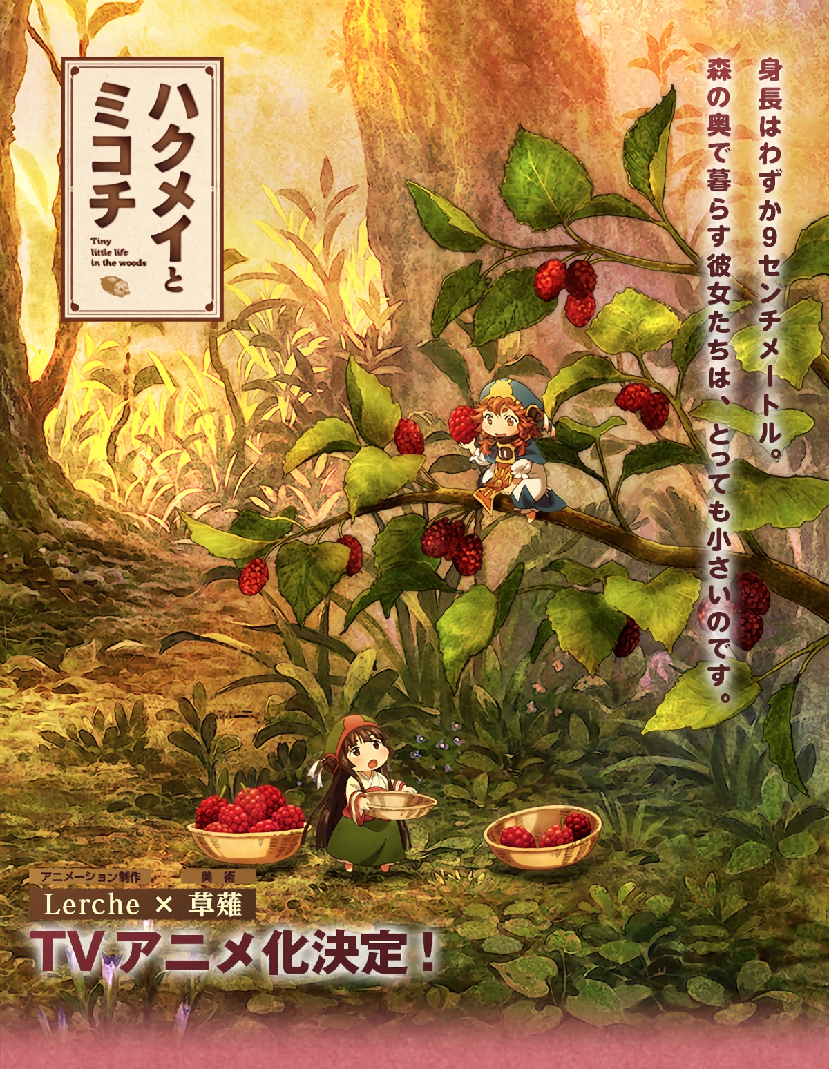 Se confirma mes de estreno para el anime Hakumei to Mikochi