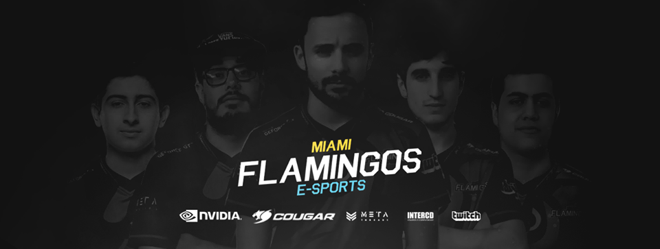 Miami Flamingos – La promesa latinoamericana en la MDL
