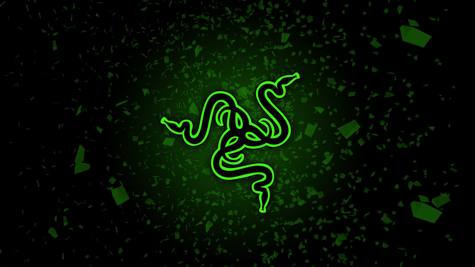 Razer y su acercamiento al público