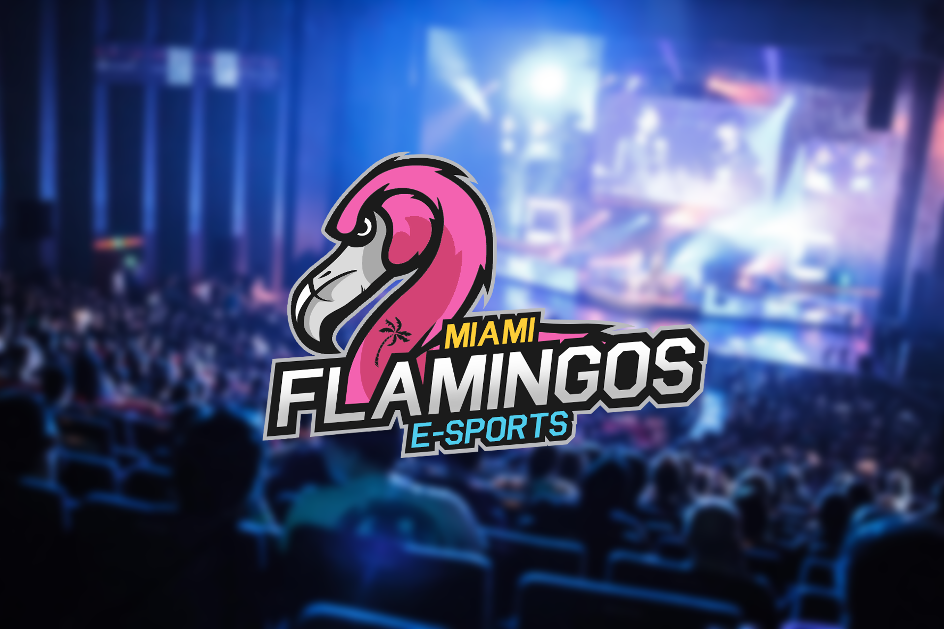 Miami Flamingos fuera del sueño por la DreamHack