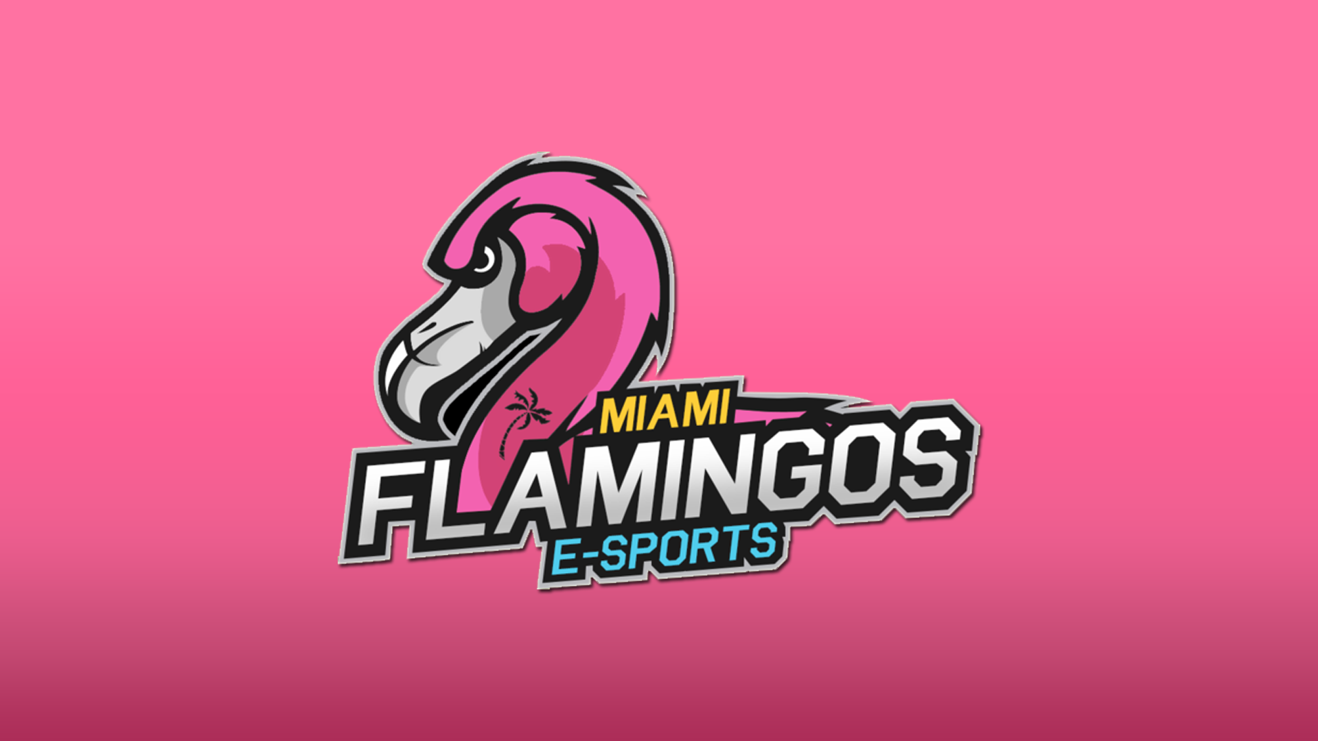 Miami Flamingos anuncia una nueva escuadra de Super Smash Bros