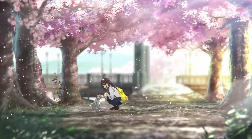 Nuevo eslogan e imagen pomocional para  Kimi no Suizou wo Tabetai