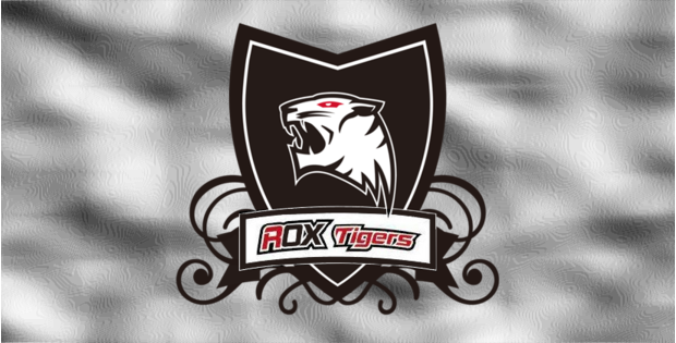 ROX Tigers desmiente rumores sobre separación del equipo
