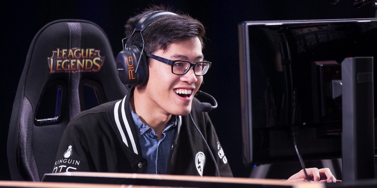 Wildturtle