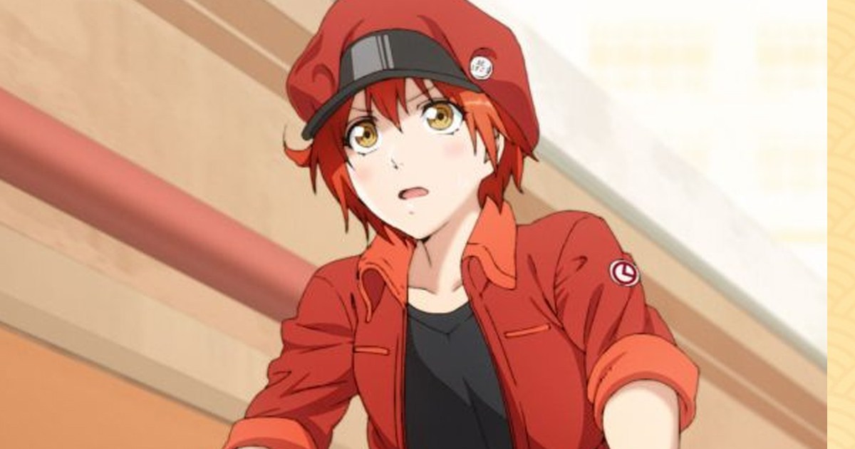 El nuevo anime Hataraku Saibou revela dos nuevos PV