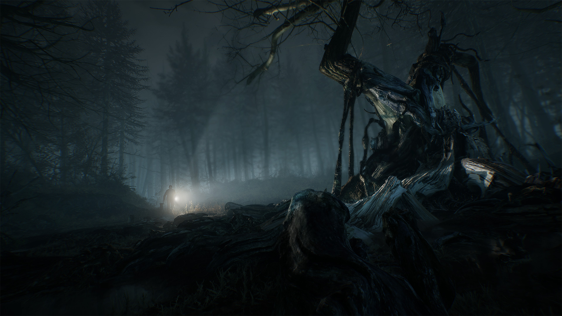 Blair Witch ha presentado su jugabilidad en un nuevo tráiler