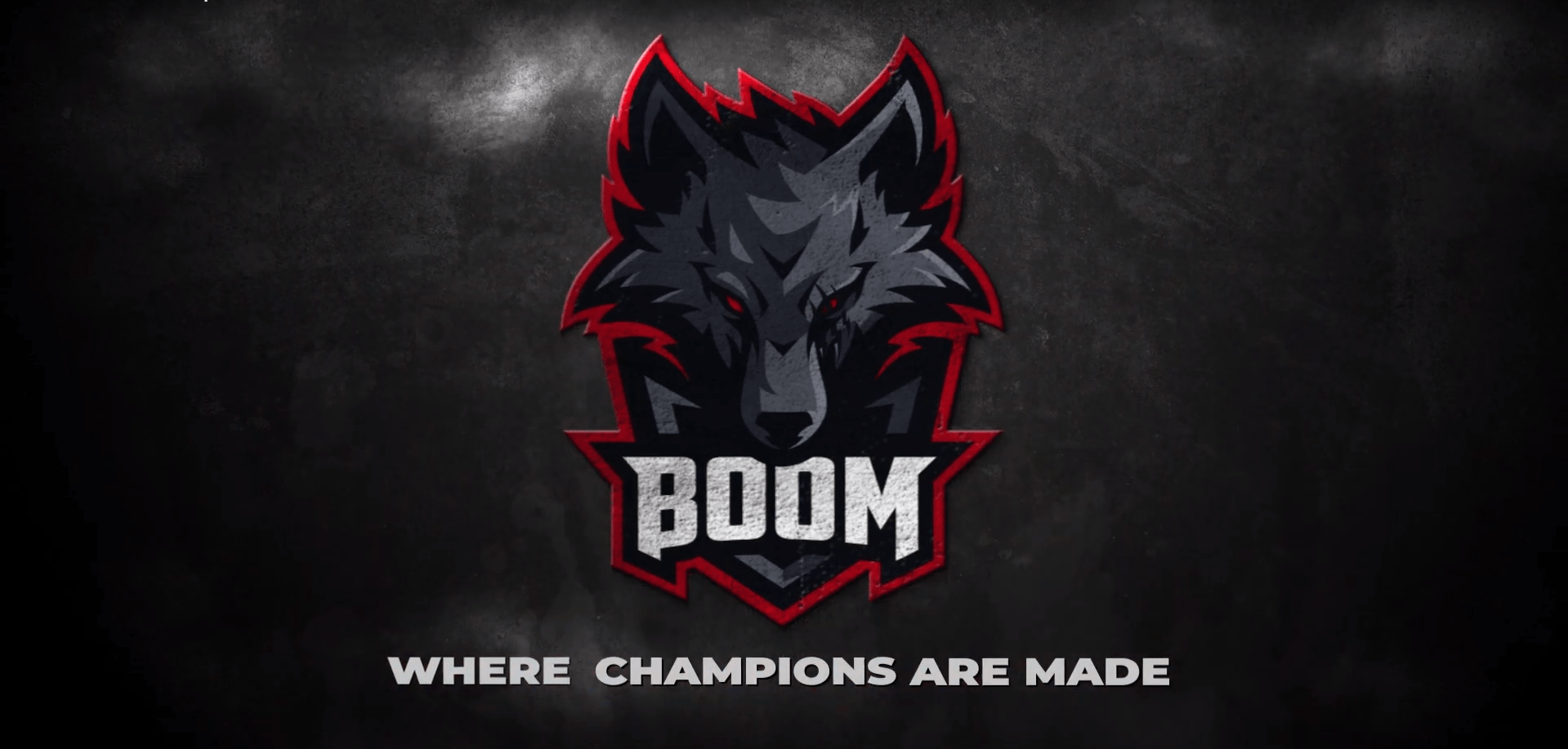 Boom ficha a los Ex-INTZ