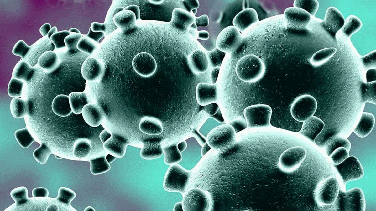 La E3 2020 estaría en peligro por alerta de la OMS por posible pandemia