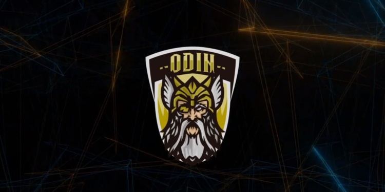 ¡SKOL! Odin Gaming es el nuevo integrante de la Liga de Honor Entel