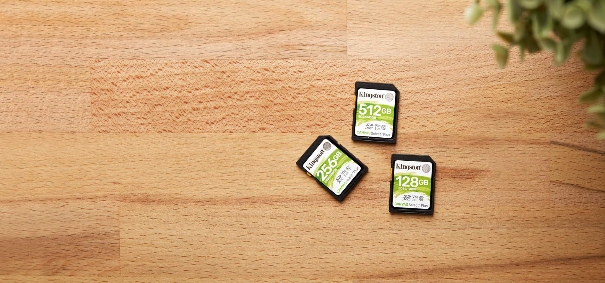 Kingston nuevas tarjetas sd microsd