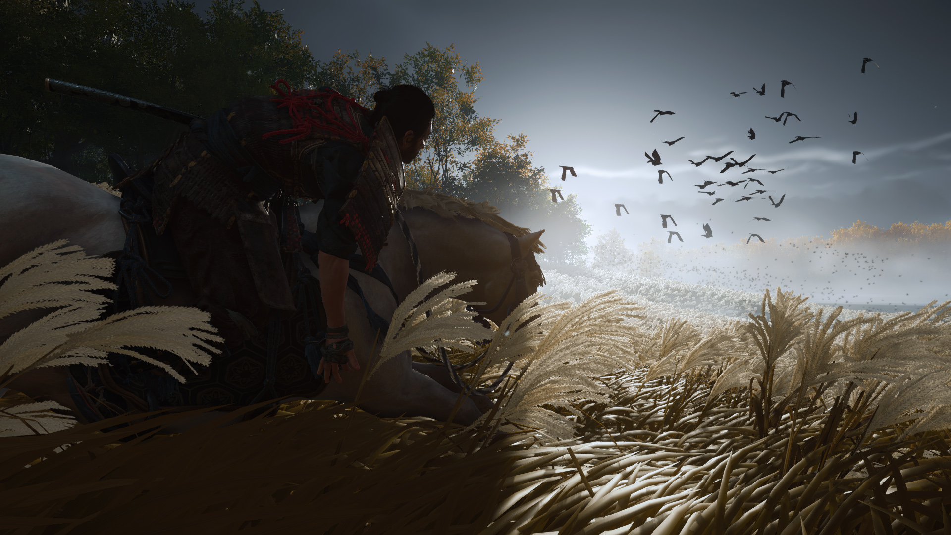 Ghost of Tsushima: Casi 10 millones de zorros han sido acariciados
