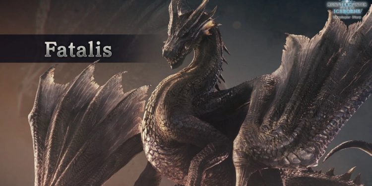 Monster Hunter portada