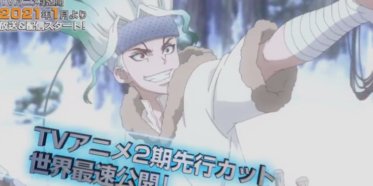 Dr. Stone