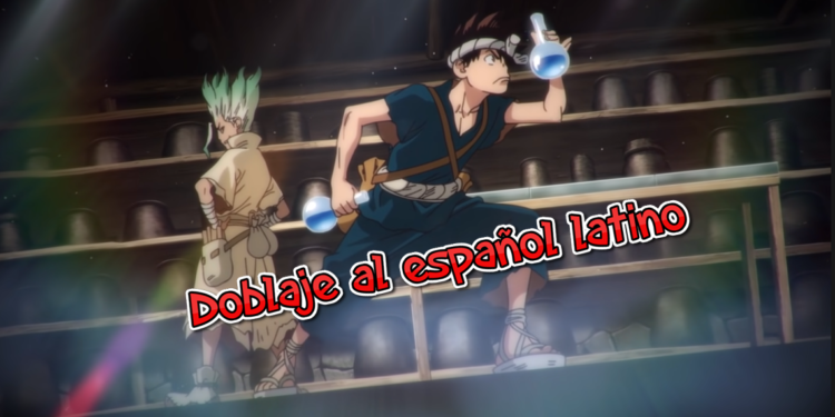 Dr Stone