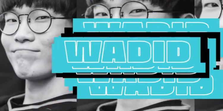 ¡Confirmado! Wadid es el nuevo soporte de All Knights