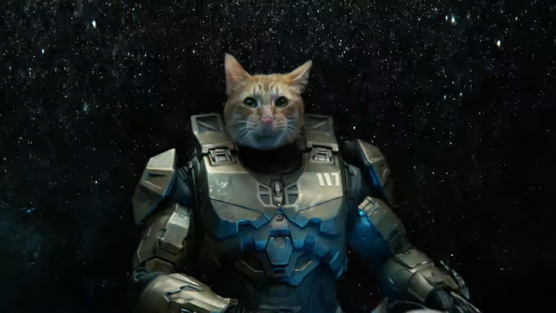 Taika Waititi, Xbox y un gato se unen para realizar un cortometraje gamer