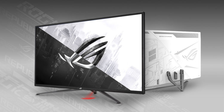 ASUS new monitores