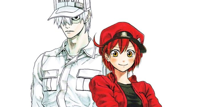 cells at work