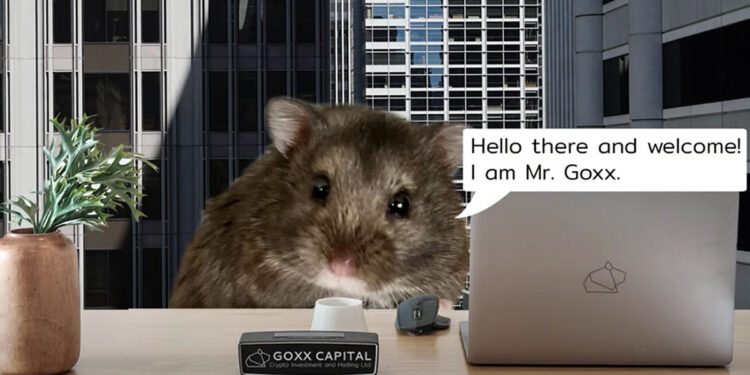 Mr. Goxx