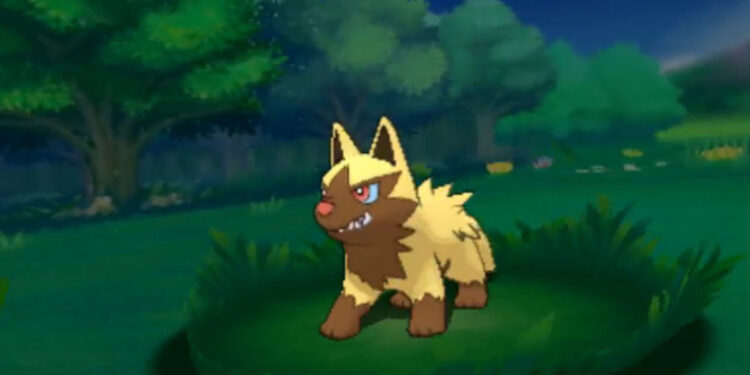 shiny poochyena pokémon go