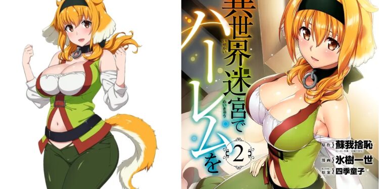 Isekai Meikyu de Harem