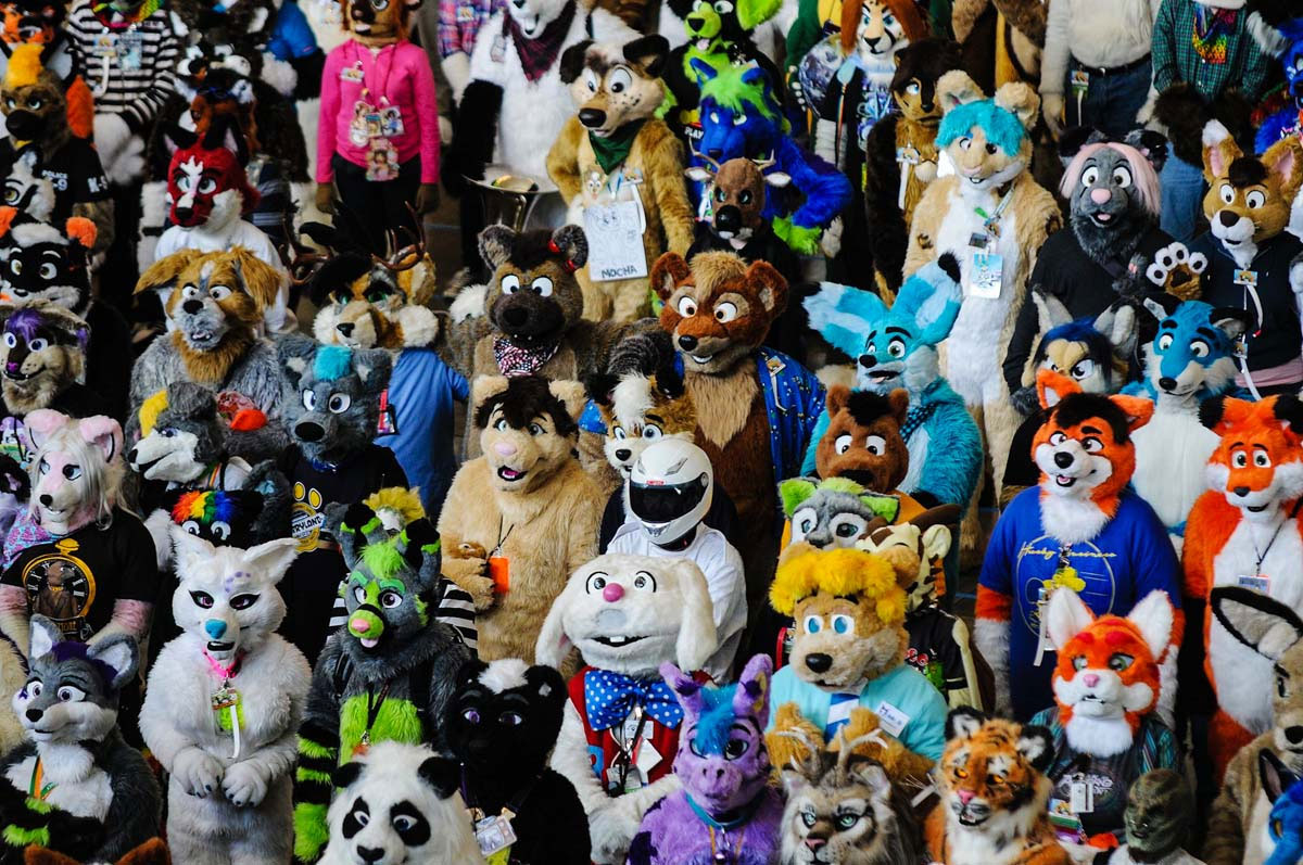 El listado de los países latinoamericanos que más consumen contenido furry podría sorprenderte