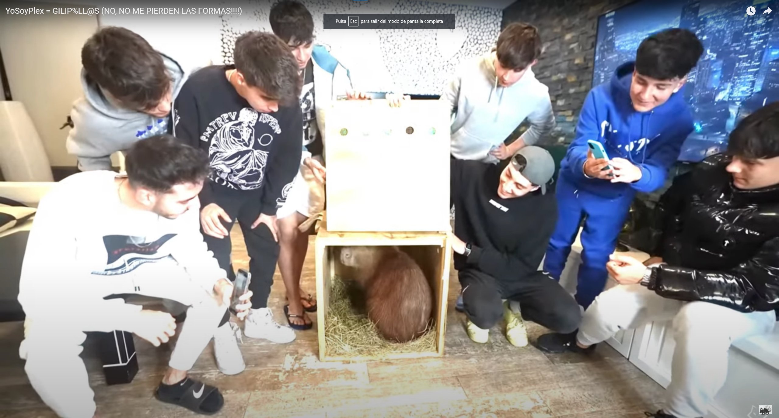 YoSoyPlex se disculpa tras las críticas de Frank Cuesta por adoptar a un capibara como animal doméstico