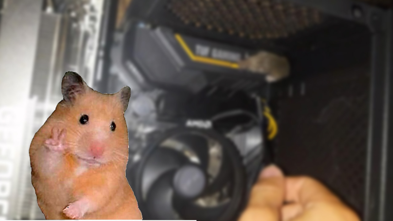 Ratón dentro del Pc