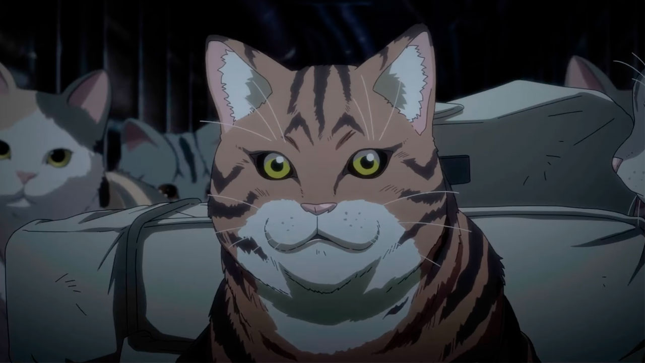 Cat Zombies