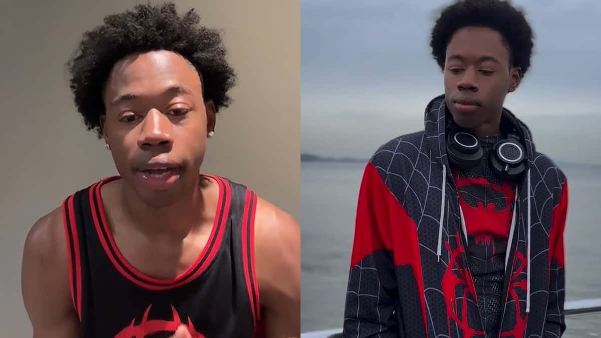 NPC Miles Morales