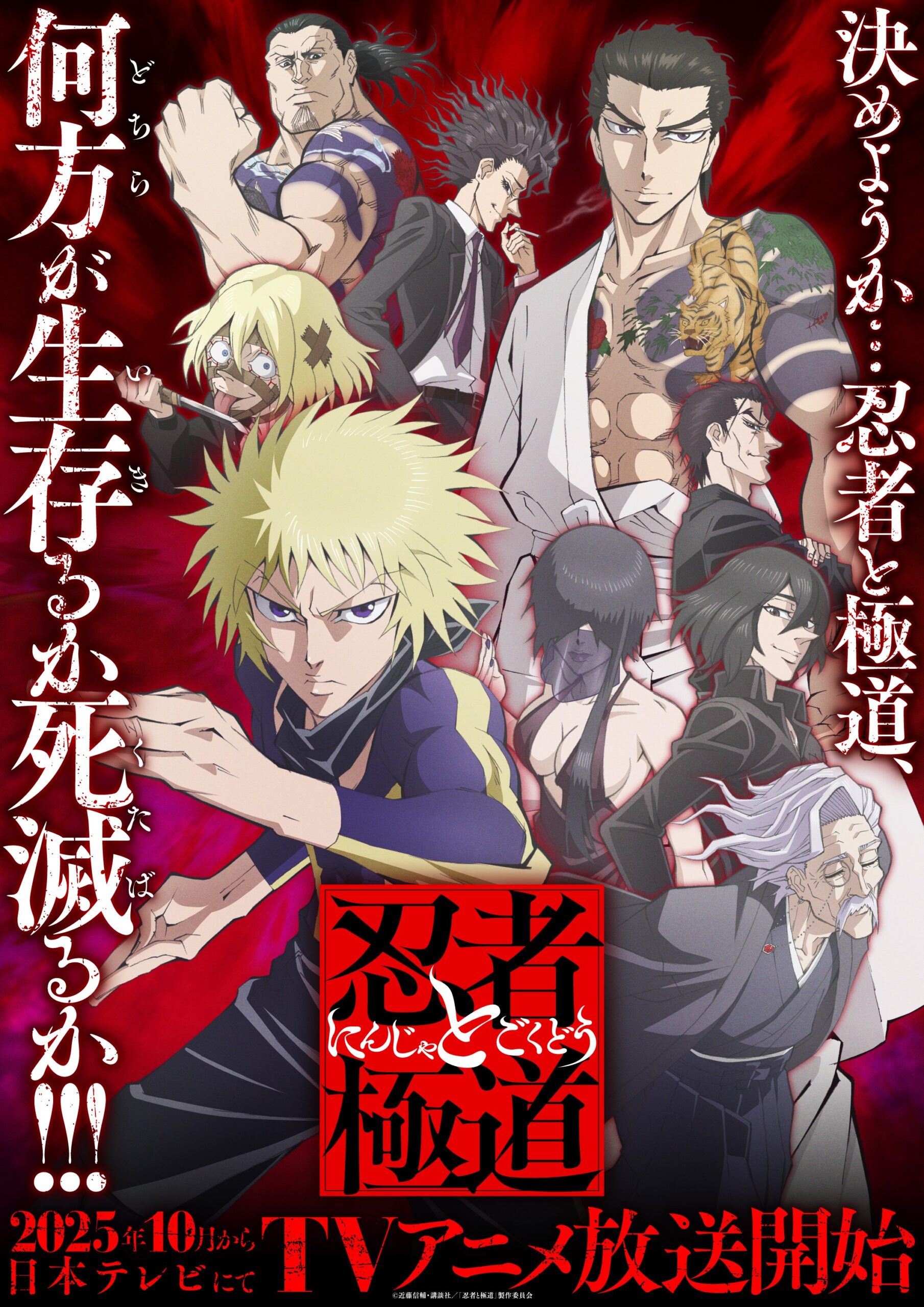Ninja vs Gokudo anime poster
