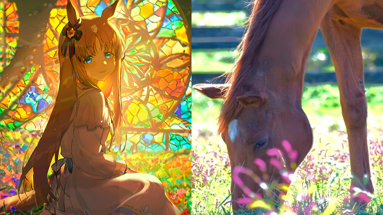 Grass Wonder Umamusume