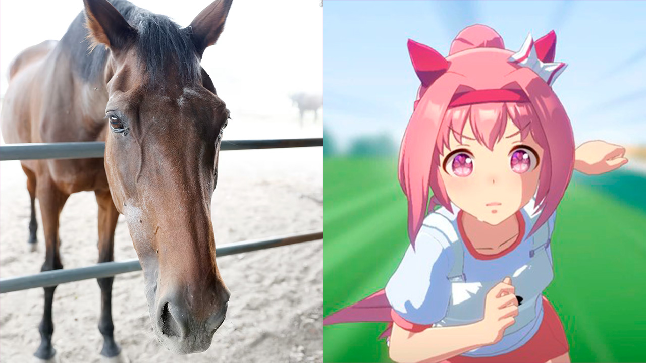 Fallece Haru Urara