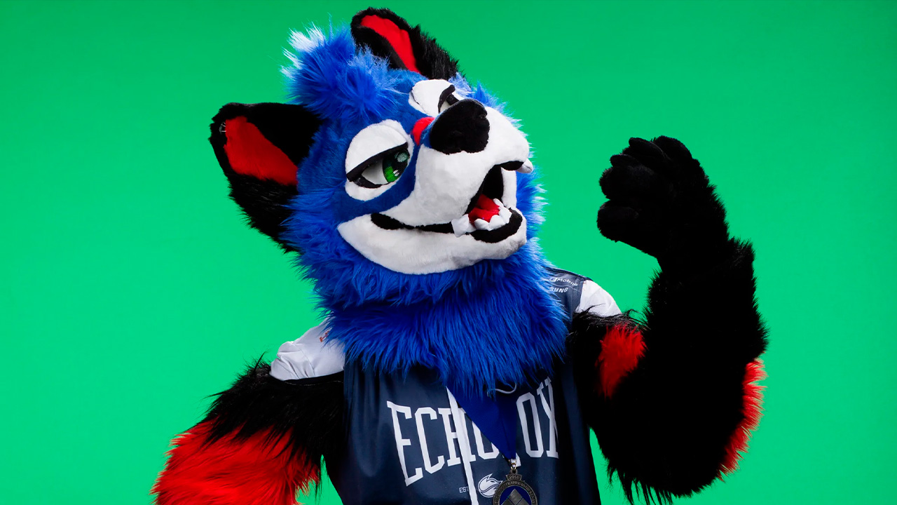 SonicFox ficha por FlyQuest