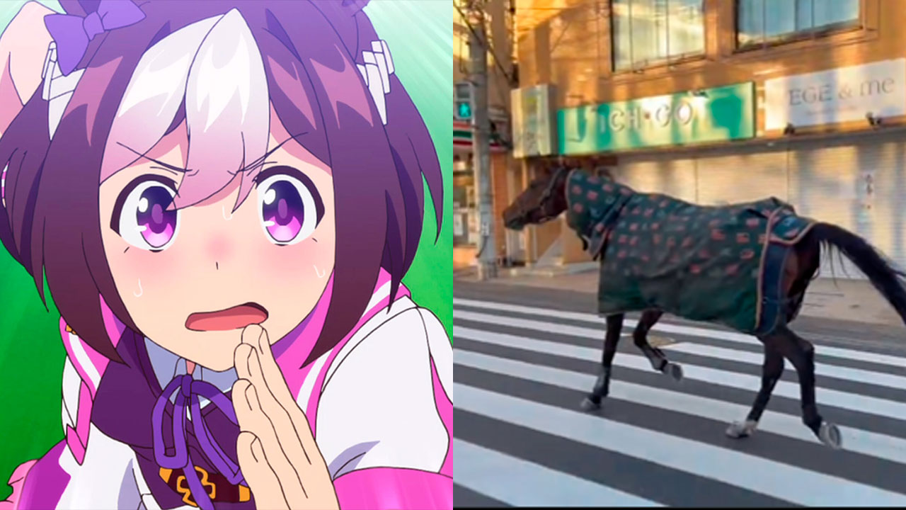 caballo suelto en Kawasaki