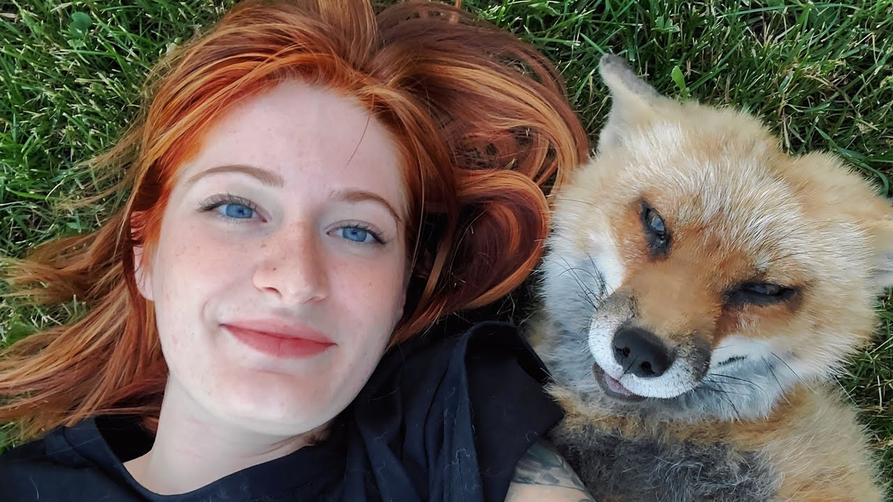 muerte de Finnegan