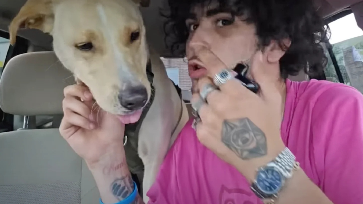 streamer acusado de maltrato animal