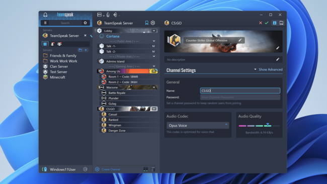 TeamSpeak