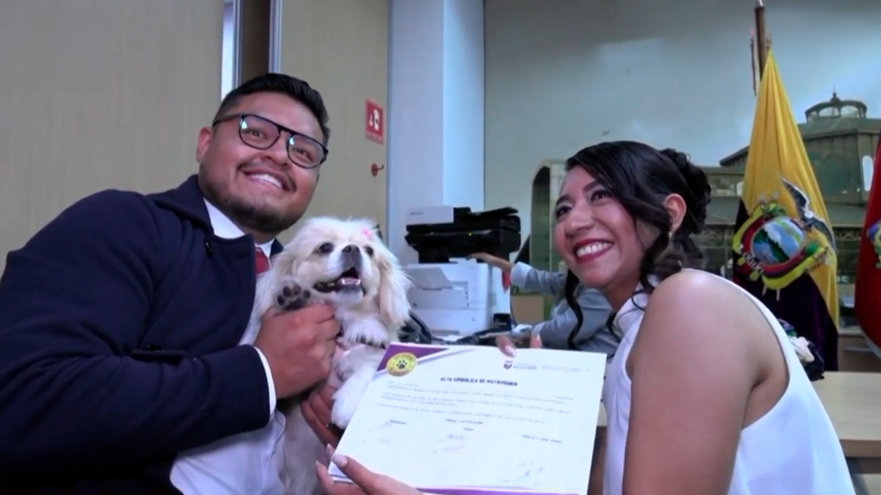boda con mascota Ecuador